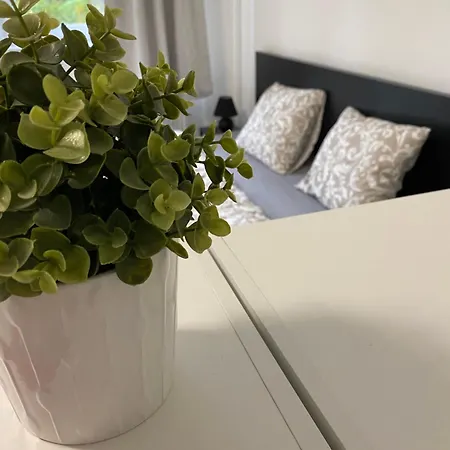 Guest Apartmán